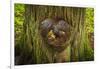 On the Trail of the Cedars, Glacier National Park, Montana, Usa-Russ Bishop-Framed Photographic Print