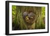 On the Trail of the Cedars, Glacier National Park, Montana, Usa-Russ Bishop-Framed Photographic Print