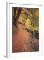 On the Trail to Chilnualna Falls, Yosemite-Vincent James-Framed Photographic Print