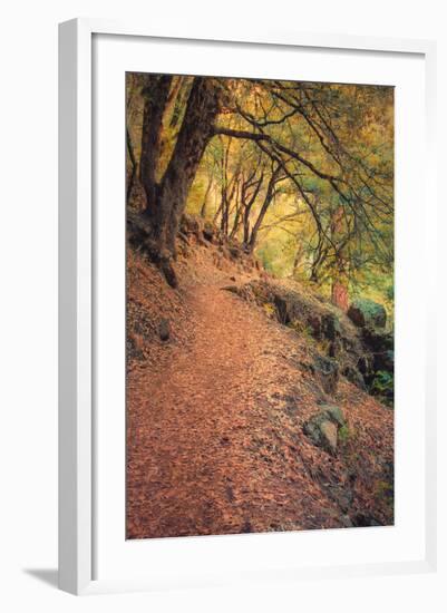 On the Trail to Chilnualna Falls, Yosemite-Vincent James-Framed Photographic Print