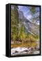 On The Trail to Mirror Lake, Yosemite Valley-Vincent James-Framed Stretched Canvas