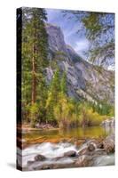 On The Trail to Mirror Lake, Yosemite Valley-Vincent James-Stretched Canvas