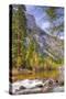On The Trail to Mirror Lake, Yosemite Valley-Vincent James-Stretched Canvas