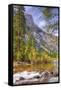 On The Trail to Mirror Lake, Yosemite Valley-Vincent James-Framed Stretched Canvas