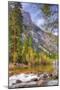 On The Trail to Mirror Lake, Yosemite Valley-Vincent James-Mounted Photographic Print