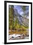 On The Trail to Mirror Lake, Yosemite Valley-Vincent James-Framed Photographic Print