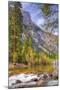 On The Trail to Mirror Lake, Yosemite Valley-Vincent James-Mounted Photographic Print