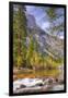 On The Trail to Mirror Lake, Yosemite Valley-Vincent James-Framed Photographic Print