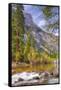 On The Trail to Mirror Lake, Yosemite Valley-Vincent James-Framed Stretched Canvas