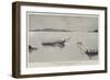 On the Victoria Nyanza, a Hippopotamus Attacks a Shooting-Party-Charles Auguste Loye-Framed Premium Giclee Print