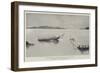On the Victoria Nyanza, a Hippopotamus Attacks a Shooting-Party-Charles Auguste Loye-Framed Giclee Print