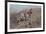 On the Warpath, 1895-Charles Marion Russell-Framed Giclee Print