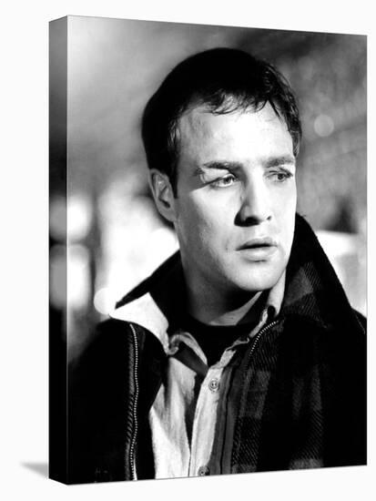 On the Waterfront, Marlon Brando, 1954-null-Stretched Canvas