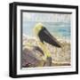 On the Waterfront-Donna Geissler-Framed Giclee Print