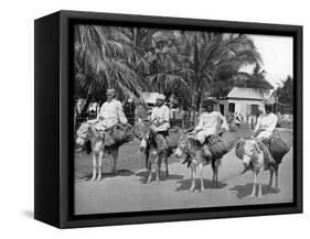 On the Way Home from Market, Jamaica, C1905-Adolphe & Son Duperly-Framed Stretched Canvas