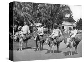 On the Way Home from Market, Jamaica, C1905-Adolphe & Son Duperly-Stretched Canvas