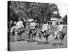 On the Way Home from Market, Jamaica, C1905-Adolphe & Son Duperly-Stretched Canvas