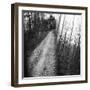 On the way in the Teutoburg Forest-Nadja Jacke-Framed Photographic Print