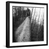 On the way in the Teutoburg Forest-Nadja Jacke-Framed Photographic Print