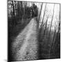 On the way in the Teutoburg Forest-Nadja Jacke-Mounted Photographic Print