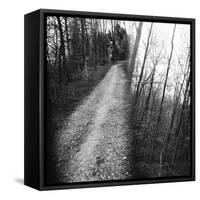 On the way in the Teutoburg Forest-Nadja Jacke-Framed Stretched Canvas