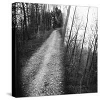 On the way in the Teutoburg Forest-Nadja Jacke-Stretched Canvas