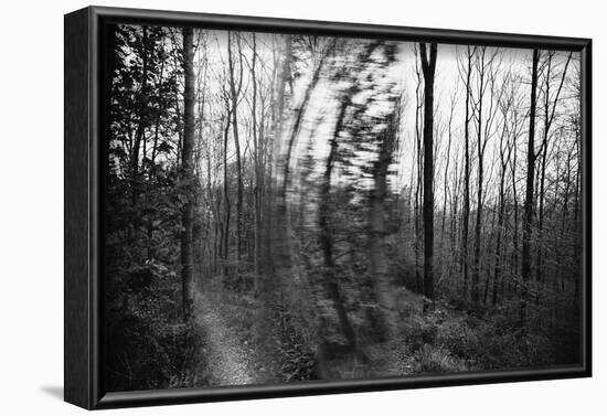 On the way in the Teutoburg Forest-Nadja Jacke-Framed Photographic Print