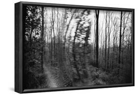 On the way in the Teutoburg Forest-Nadja Jacke-Framed Photographic Print