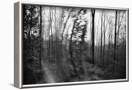 On the way in the Teutoburg Forest-Nadja Jacke-Framed Photographic Print