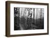 On the way in the Teutoburg Forest-Nadja Jacke-Framed Photographic Print