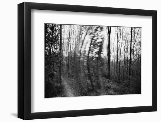 On the way in the Teutoburg Forest-Nadja Jacke-Framed Photographic Print