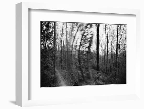 On the way in the Teutoburg Forest-Nadja Jacke-Framed Photographic Print