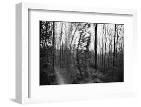 On the way in the Teutoburg Forest-Nadja Jacke-Framed Photographic Print