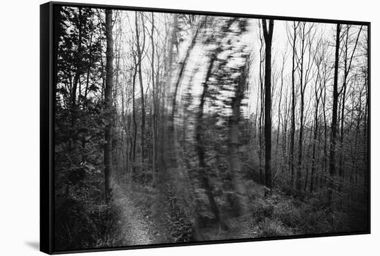 On the way in the Teutoburg Forest-Nadja Jacke-Framed Stretched Canvas