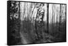 On the way in the Teutoburg Forest-Nadja Jacke-Framed Stretched Canvas