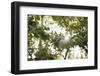 On the way in the Teutoburg Forest-Nadja Jacke-Framed Photographic Print