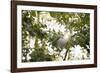 On the way in the Teutoburg Forest-Nadja Jacke-Framed Photographic Print