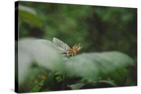 On the way in the Teutoburg Forest-Nadja Jacke-Stretched Canvas