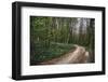 On the way in the Teutoburg Forest-Nadja Jacke-Framed Photographic Print