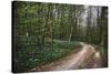On the way in the Teutoburg Forest-Nadja Jacke-Stretched Canvas