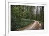 On the way in the Teutoburg Forest-Nadja Jacke-Framed Photographic Print