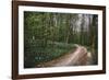 On the way in the Teutoburg Forest-Nadja Jacke-Framed Photographic Print