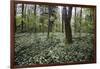 On the way in the Teutoburg Forest-Nadja Jacke-Framed Photographic Print