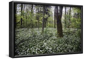 On the way in the Teutoburg Forest-Nadja Jacke-Framed Photographic Print