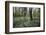 On the way in the Teutoburg Forest-Nadja Jacke-Framed Photographic Print