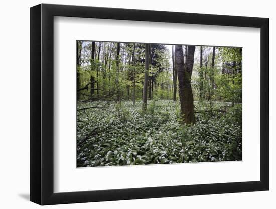 On the way in the Teutoburg Forest-Nadja Jacke-Framed Photographic Print