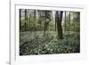 On the way in the Teutoburg Forest-Nadja Jacke-Framed Photographic Print