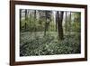 On the way in the Teutoburg Forest-Nadja Jacke-Framed Photographic Print