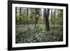 On the way in the Teutoburg Forest-Nadja Jacke-Framed Photographic Print