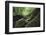 On the way in the Teutoburg Forest-Nadja Jacke-Framed Photographic Print